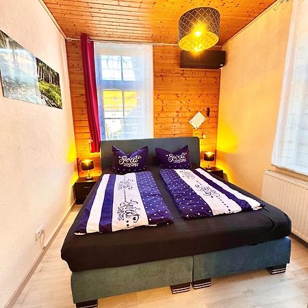 Ferienhaus Zur Abzuchtinsel 戈斯拉尔 外观 照片