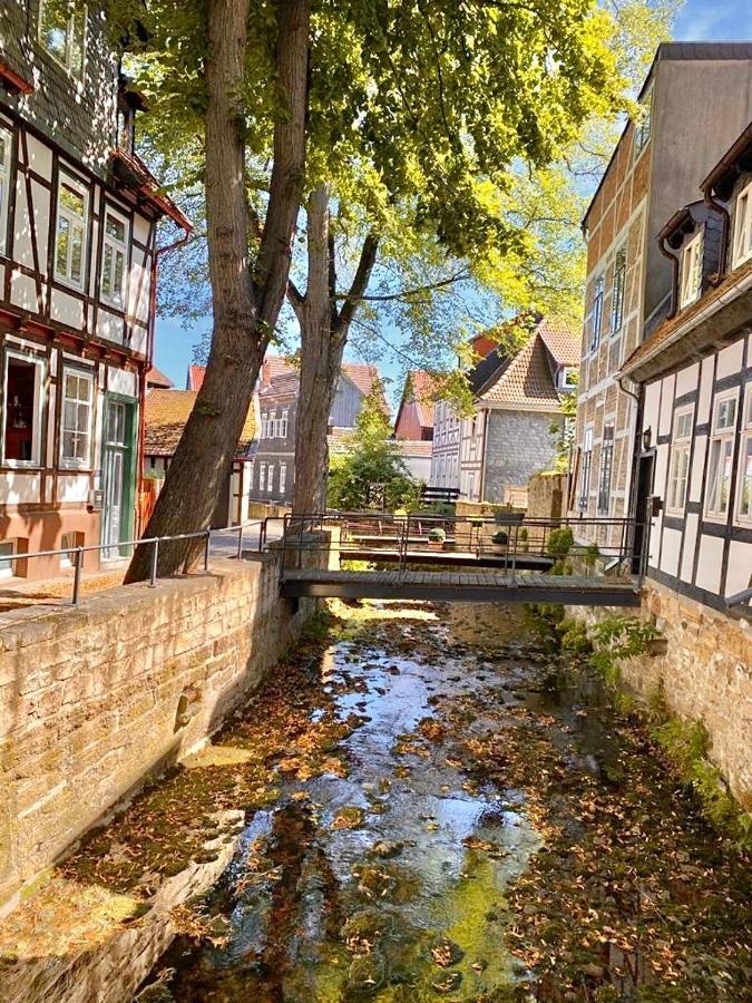 Ferienhaus Zur Abzuchtinsel 戈斯拉尔 外观 照片