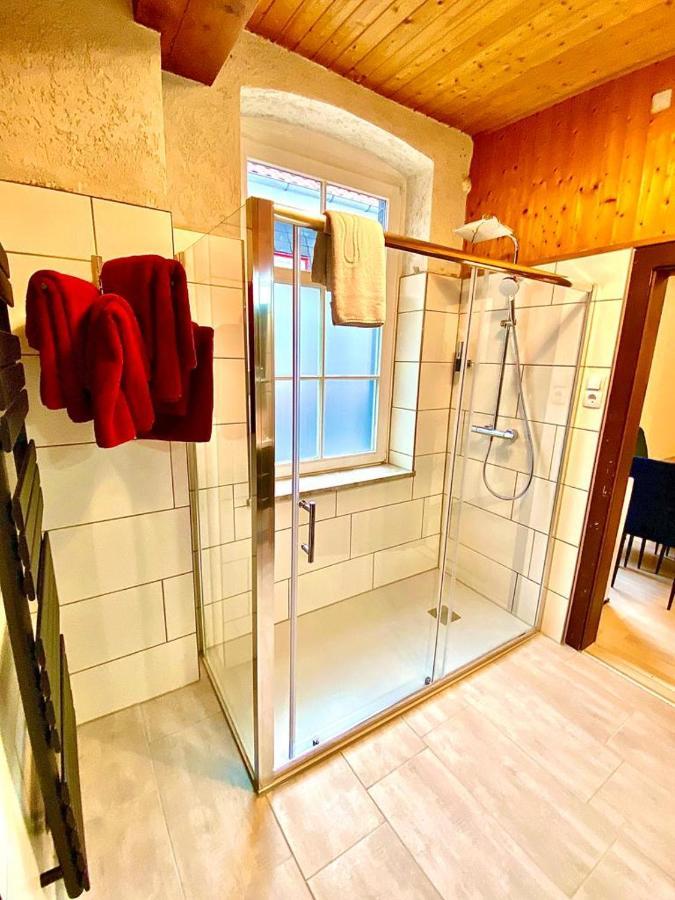 Ferienhaus Zur Abzuchtinsel 戈斯拉尔 外观 照片