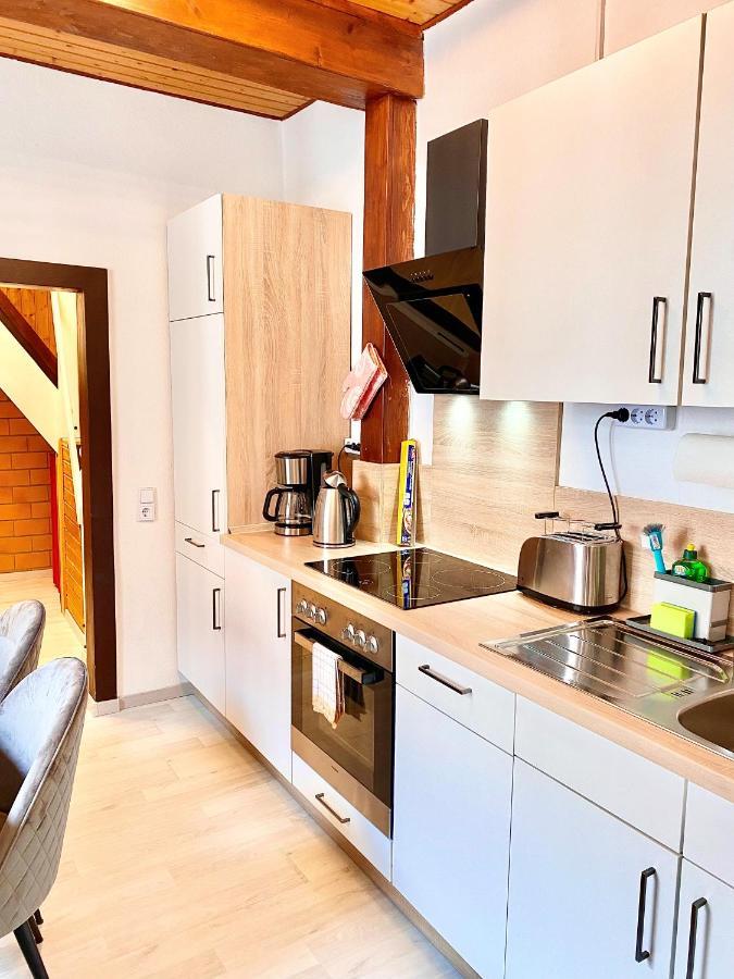 Ferienhaus Zur Abzuchtinsel 戈斯拉尔 外观 照片